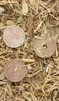 Tokens made from wood fibres and potato peels