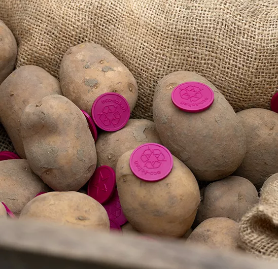 Jetons bordeaux biodégradables fabriqués de pelures de pommes de terre avec motif gravé 