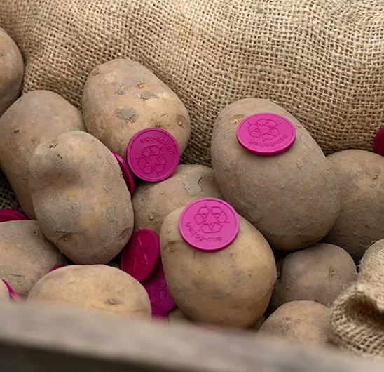 Fichas de cáscaras de patata biodegradables burdeos con diseño grabado