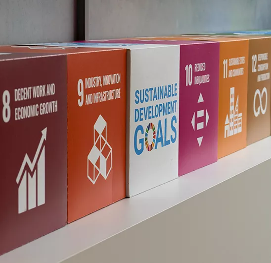 Sustainable Development Goals printed on boxes 